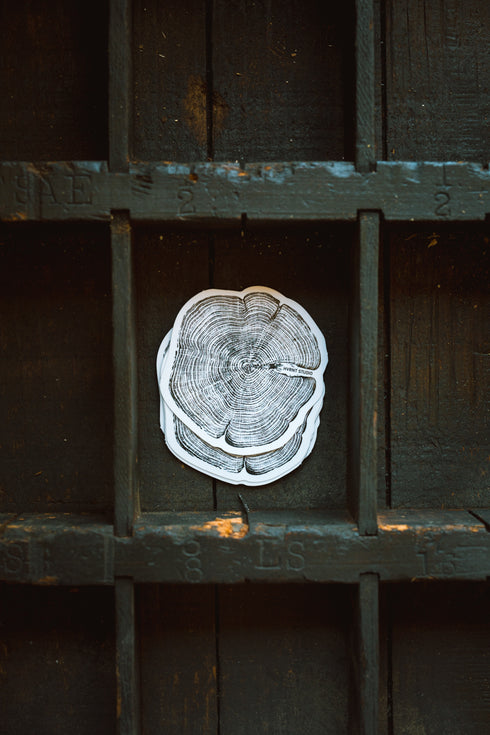 “Cedar” Sticker